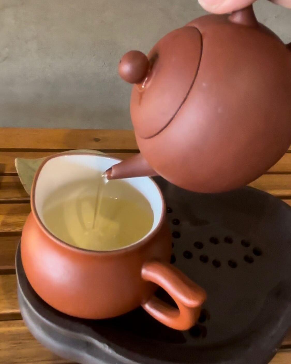 凍頂烏龍茶を丁寧にに淹れて、